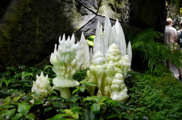 Cloud Forest Gardens by the Bay Singapore