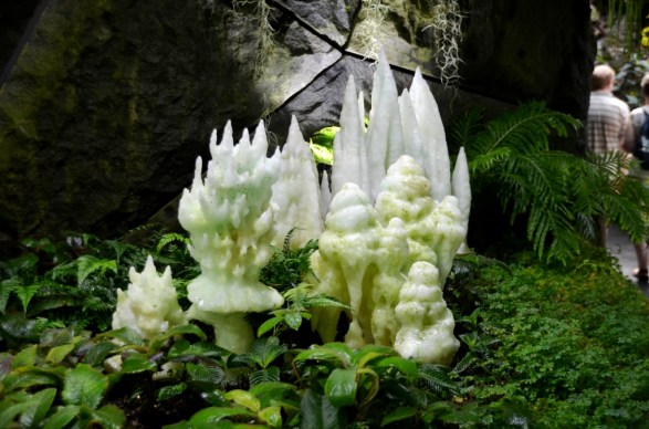 Cloud Forest Gardens by the Bay Singapore