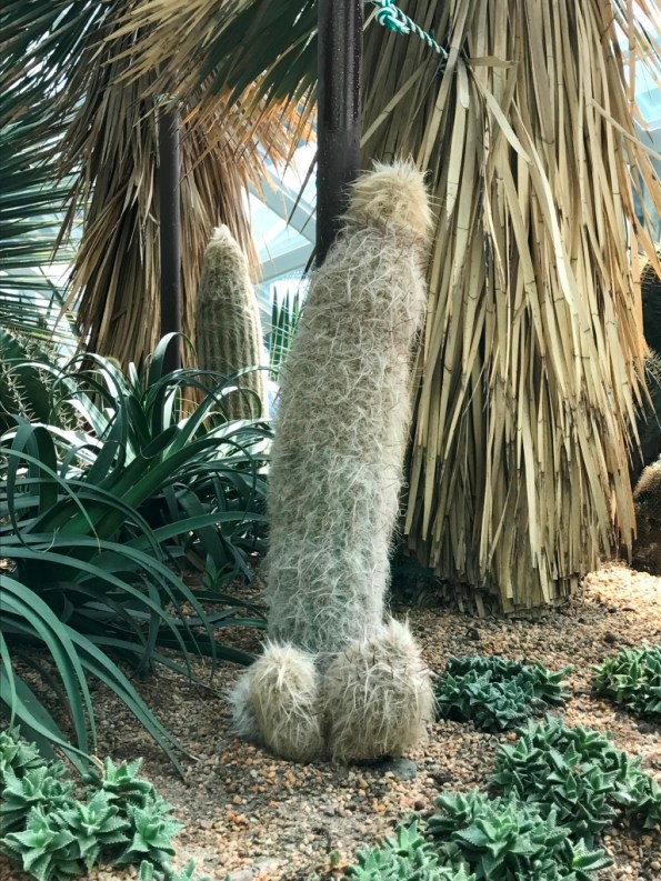 Flower Dome at Gardens by the Bay Singapore