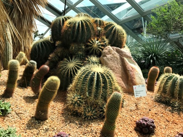 Flower Dome at Gardens by the Bay Singapore