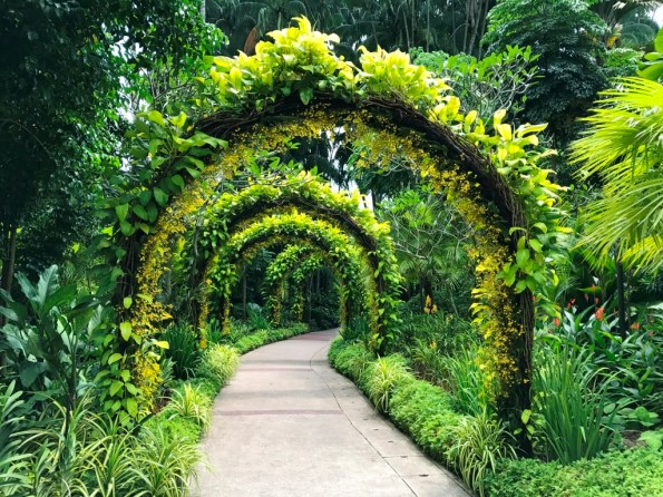 National Orchid Garden Singapore