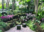 National Orchid Garden&nbsp;Singapore