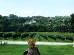 Galer Estate grounds and vineyard&nbsp;(3)