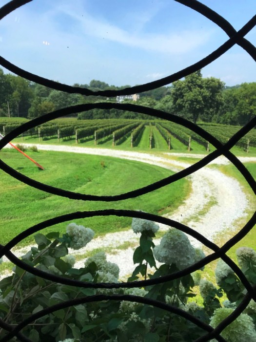 Galer Estate tasting Room