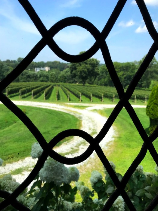 Galer Estate tasting Room