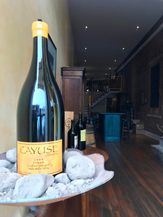 Cayuse - peeking through the window