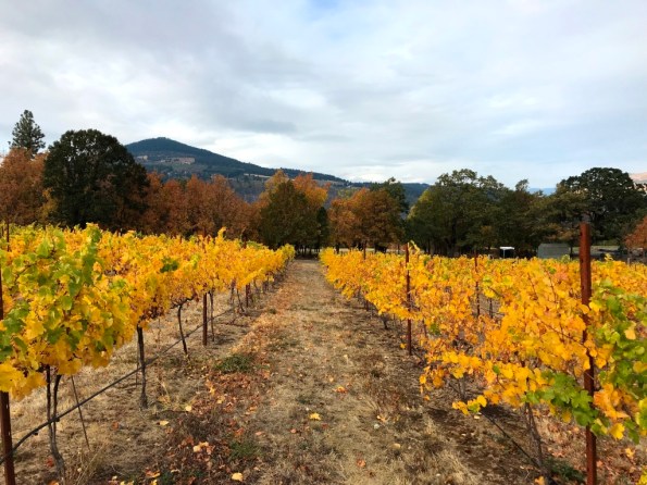 view from Cathedral Ridge winery