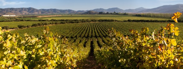 vista trinidad ventisquero