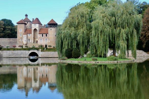 willow tree photo by arvid høidahl on unsplash small