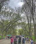 New York Cantral Park&nbsp;(9)