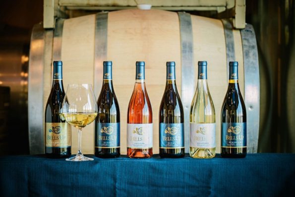 Bells Up Wines in the cellar