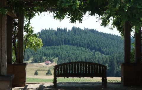 Cropped Bench Iris Vineyards