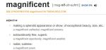 Magnificent definition