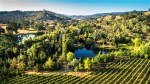 GRATUS Vineyards