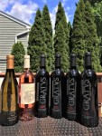 Gratus Vineyards (1)