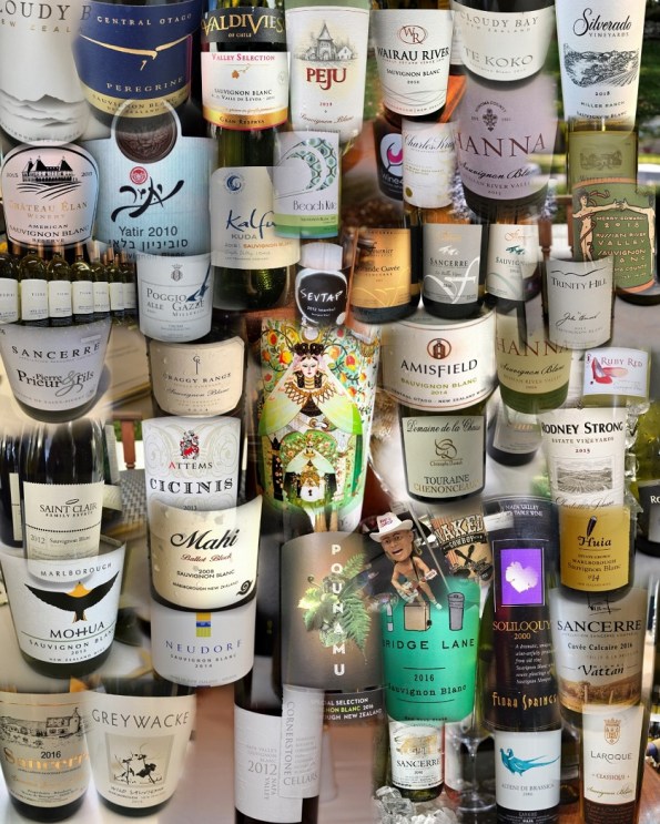 Sauvignon Blanc Collage