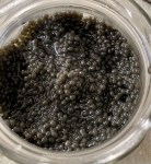 New Year 2021&nbsp;(19)