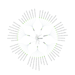 red wine prepositions answer the&nbsp;public