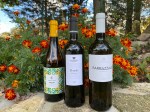 Catarratto wines (2)