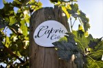 Caprio Celars sign