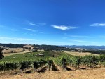 Lenne vineyard views&nbsp;(7)