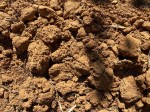 Willamette Valley soils&nbsp;(1)