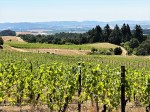 Youngberg Hill Vineyards&nbsp;(1)