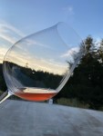 Pinot Noir Blanc Barrel Sample&nbsp;(1)
