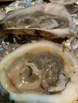 Oysters (1)