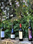 wines with rare grapes