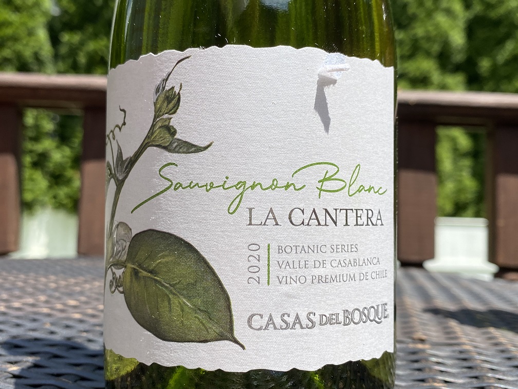 Chilean Sauvignon Blanc – The Adulthood | Talk-A-Vino