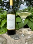 Toscaia Sangiovese Bianco&nbsp;(1)