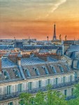 Paris 2024 (11)