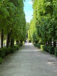 Rodin Museum (7)