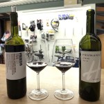 Hungarian wines (17)