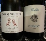 Hungarian wines (22)