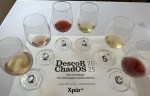 Descorchados tasting 2025&nbsp;(5)